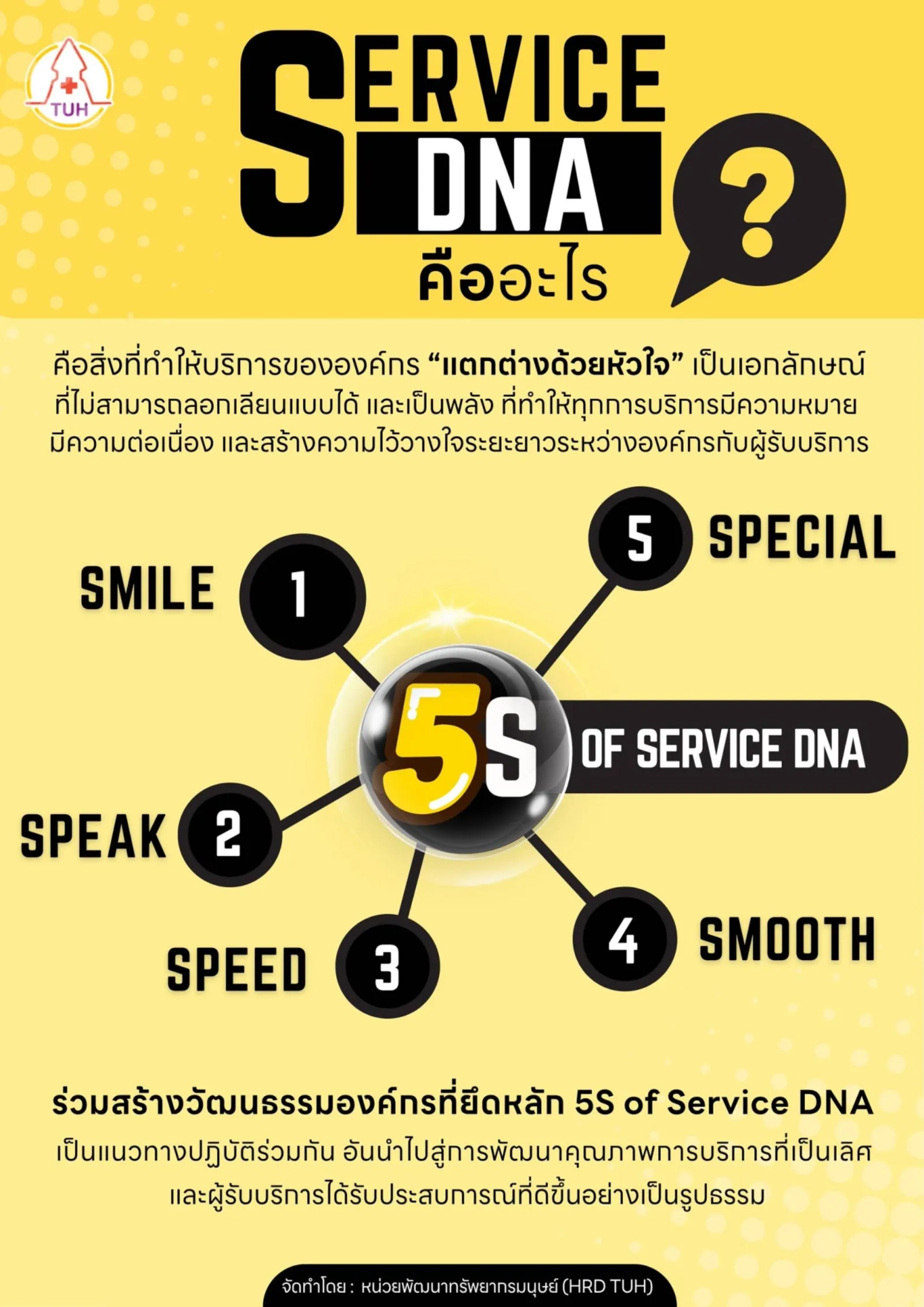 5S of Service DNA