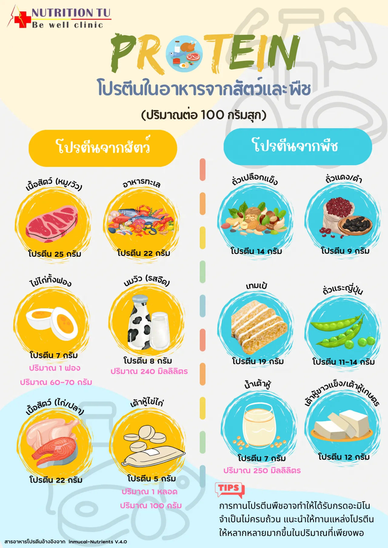 มารู้จักแหล่งโปรตีนที่หลากหลาย